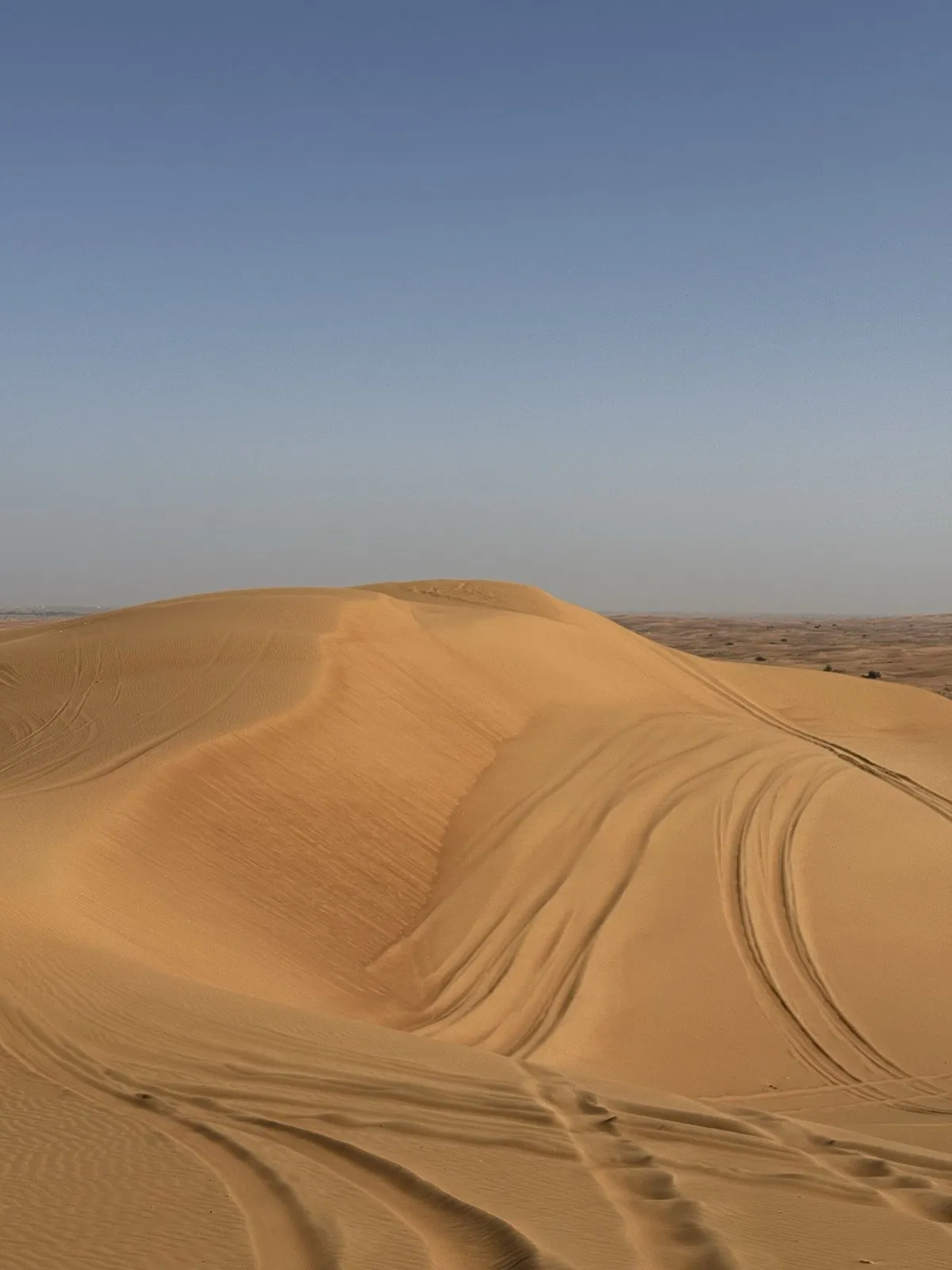 Wind-carved dune curves and old tracks in the Al Badayer interior