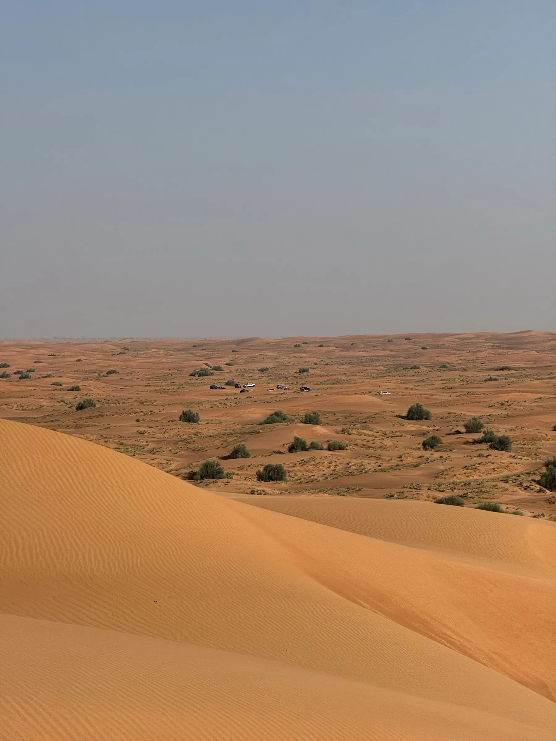 The view from high on Big Red across the Lahbab dune belt, with a convoy on the plain below