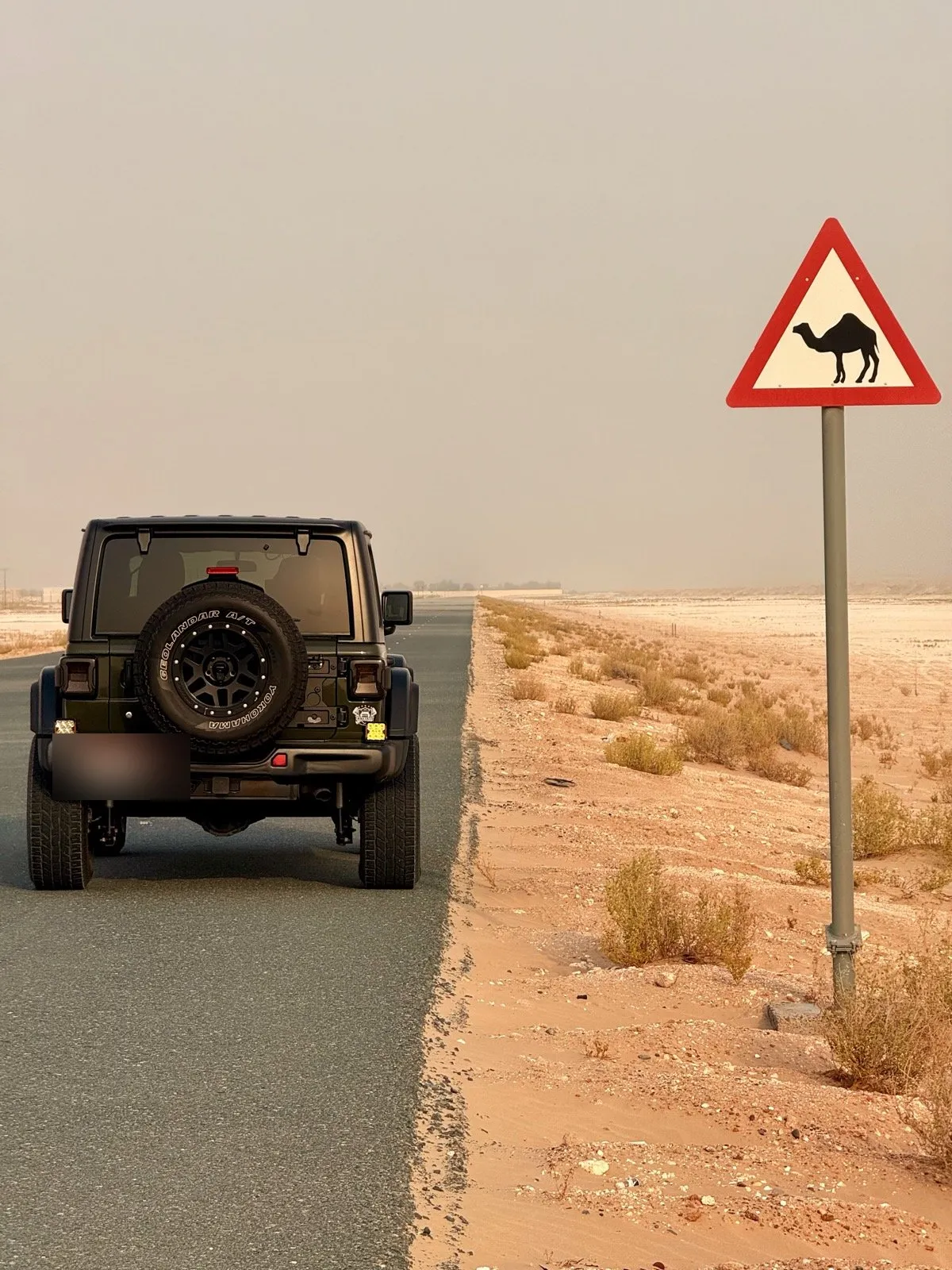 A 4x4 stopped on an empty desert road beside a camel crossing sign