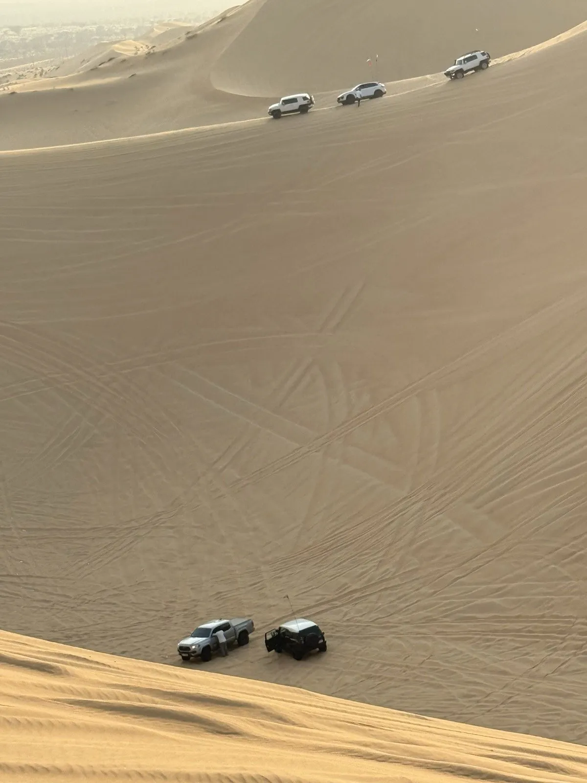 A convoy descending a long dune line in the Abu Dhabi desert
