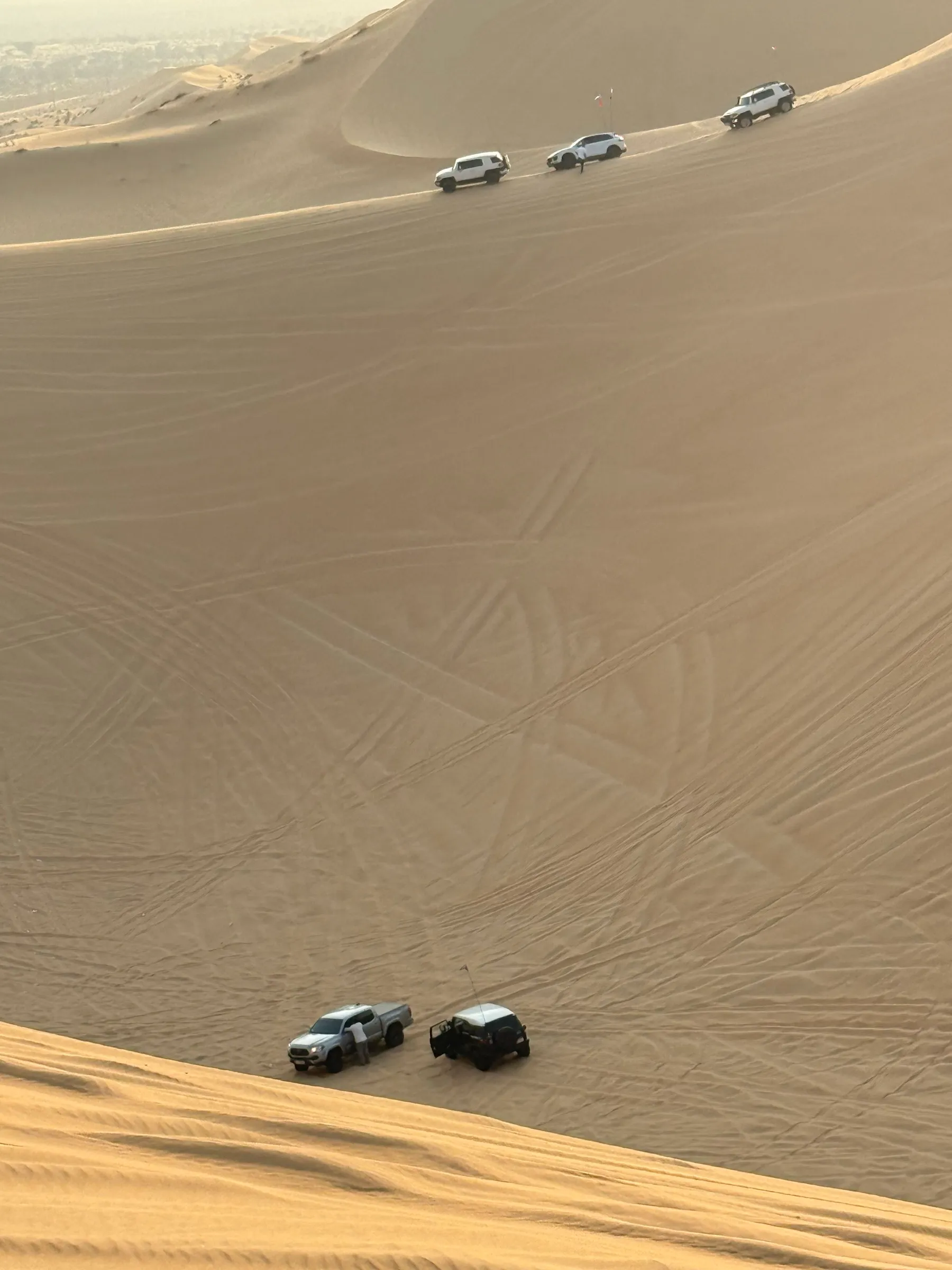 Mostly standard SUVs and pickups spread across a dune bowl in golden light