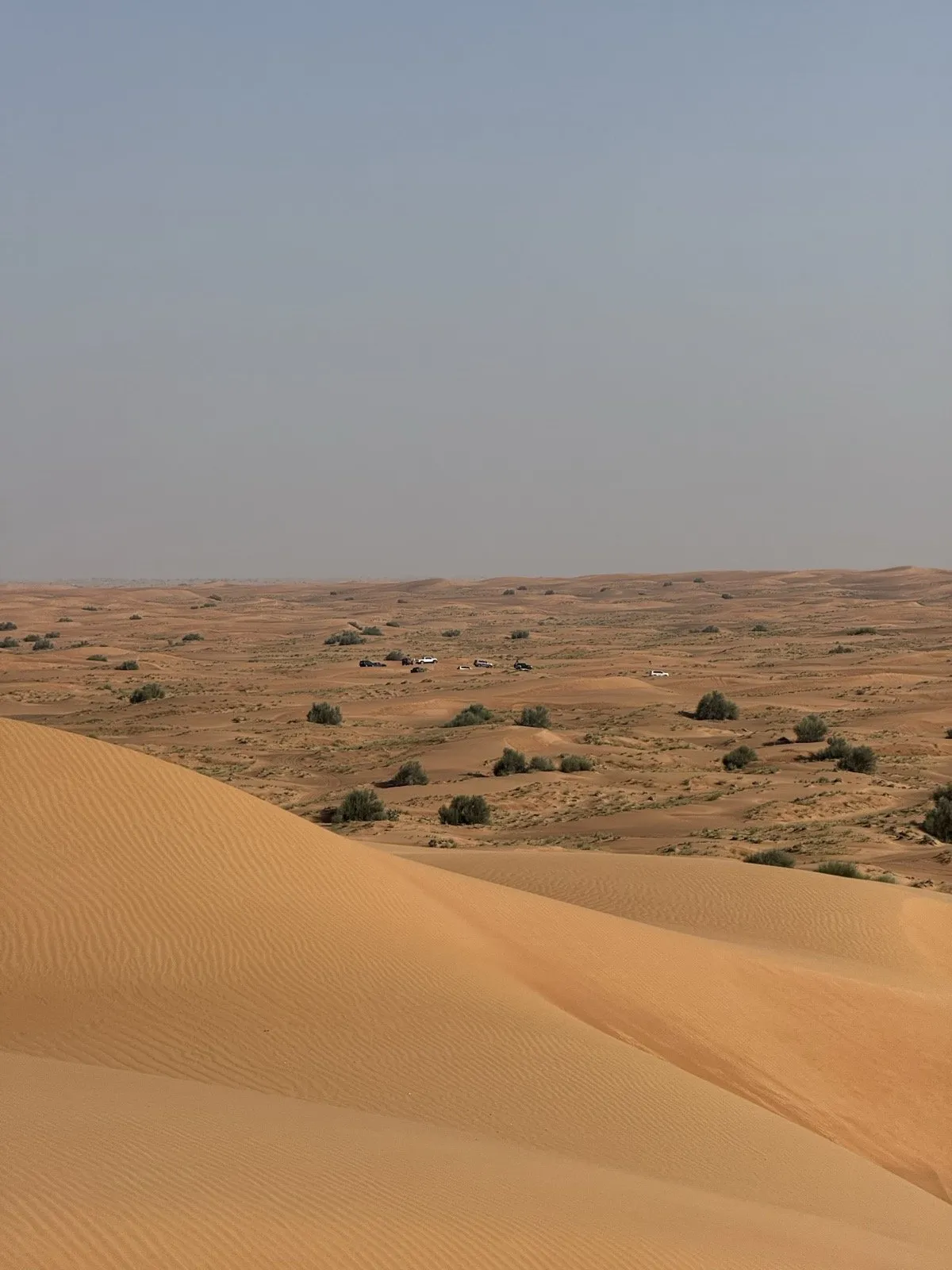 A wide dune field stretching to the horizon with a distant convoy for scale