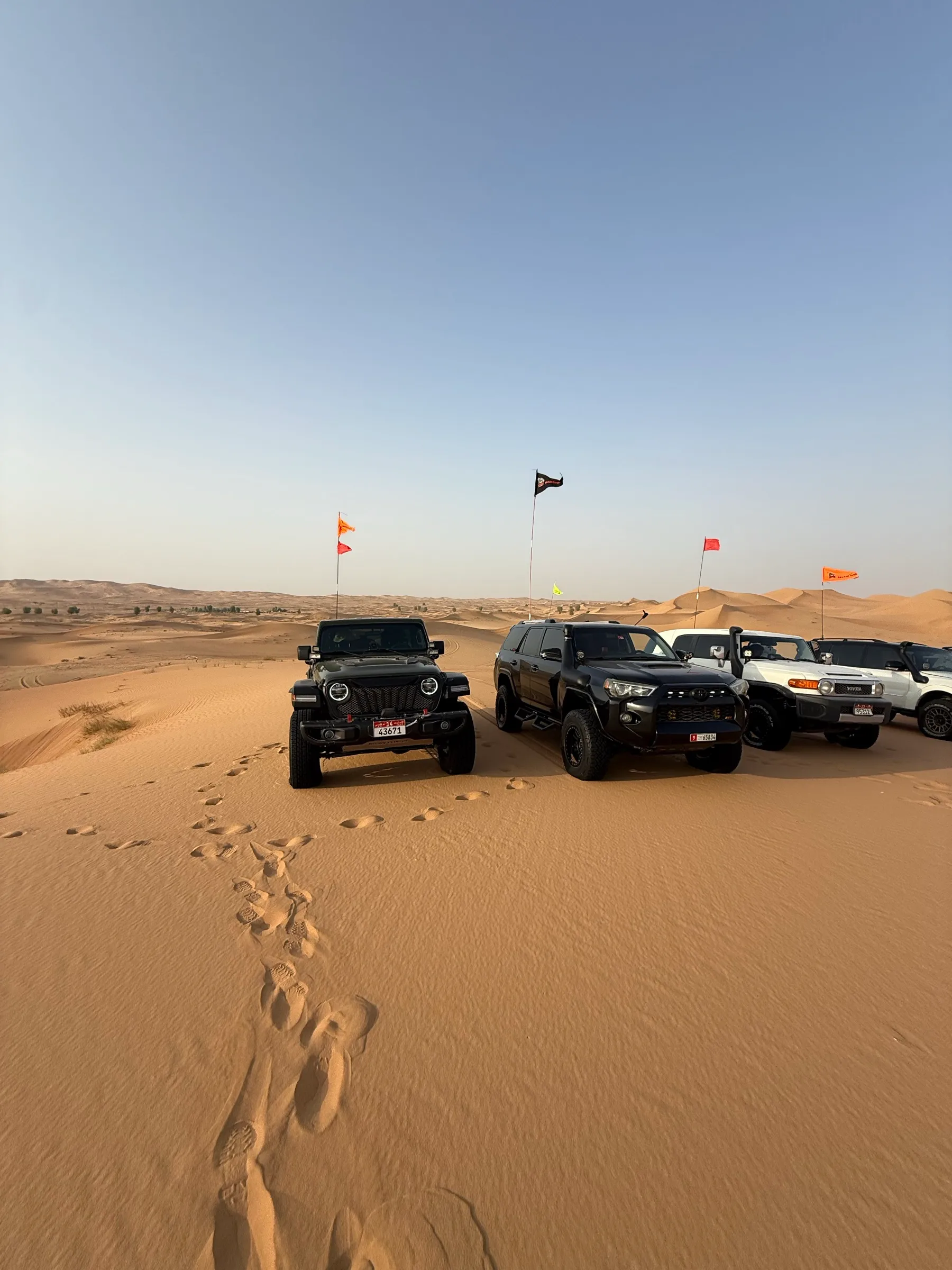 Flagged 4x4s lined up on a dune crest, spaced for a convoy run