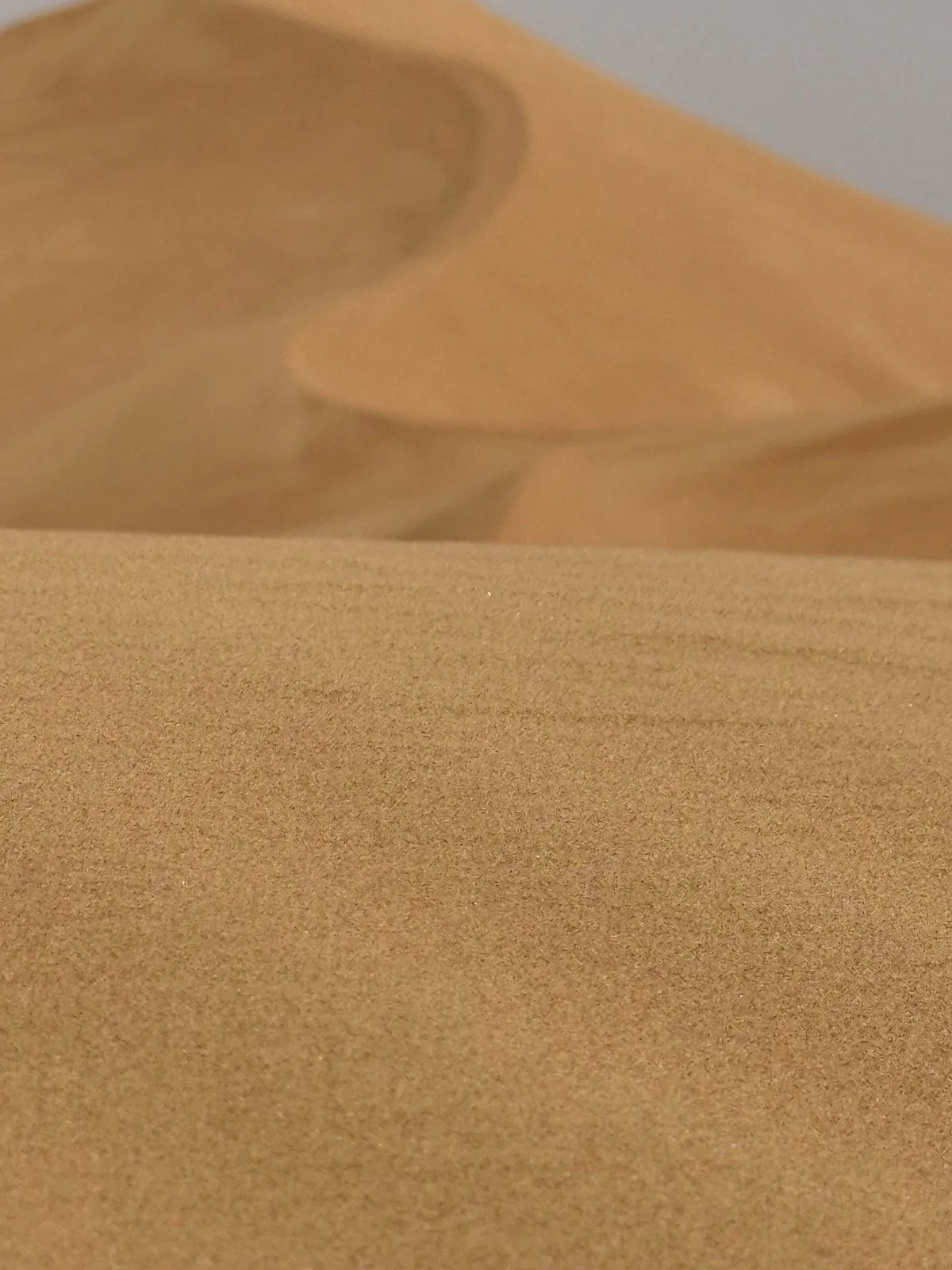 Close view of desert sand grain texture on a dune crest, with a slip face behind