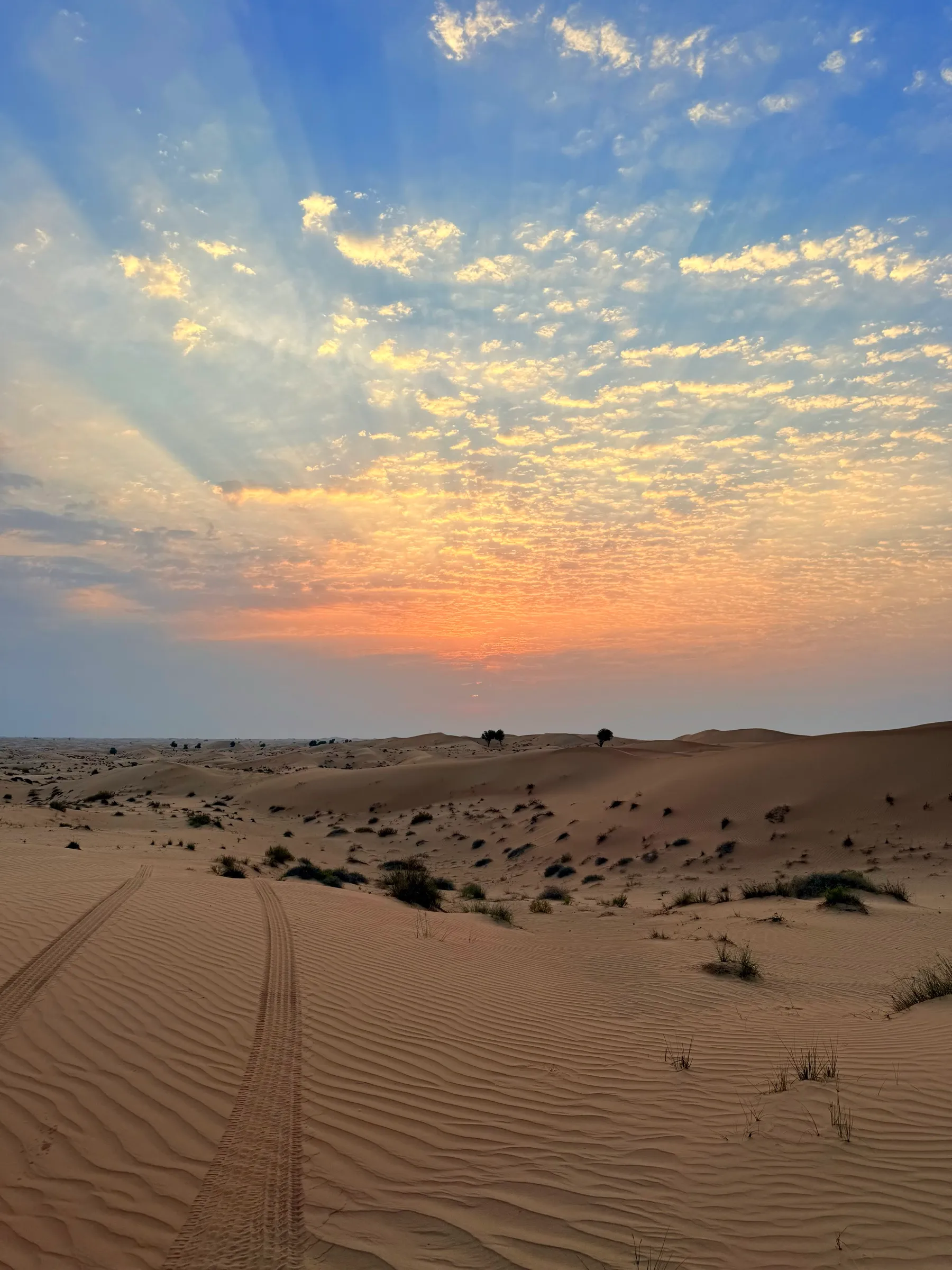 Early sunrise light across UAE dunes. The cool hours are when people drive